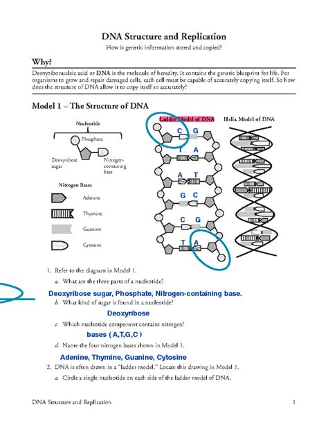 ispyplates|DNA